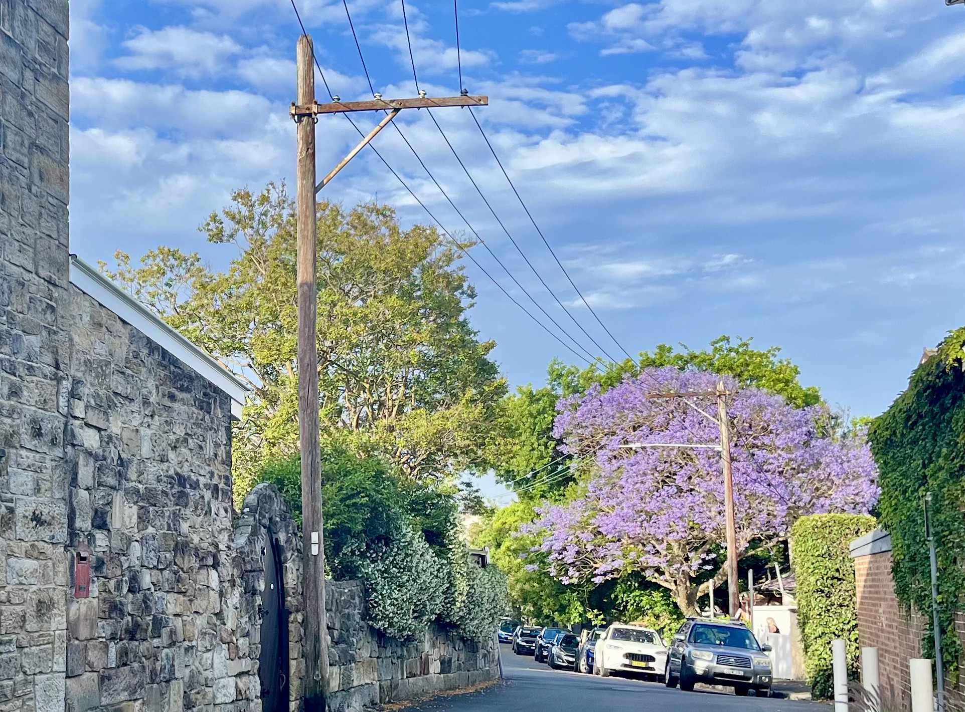 A quiet sandstone laneway in Rozelle with a jacaranda in bloom in the distance